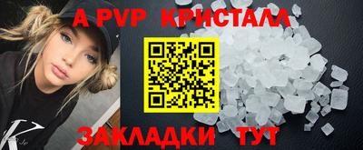 spice Кингисепп