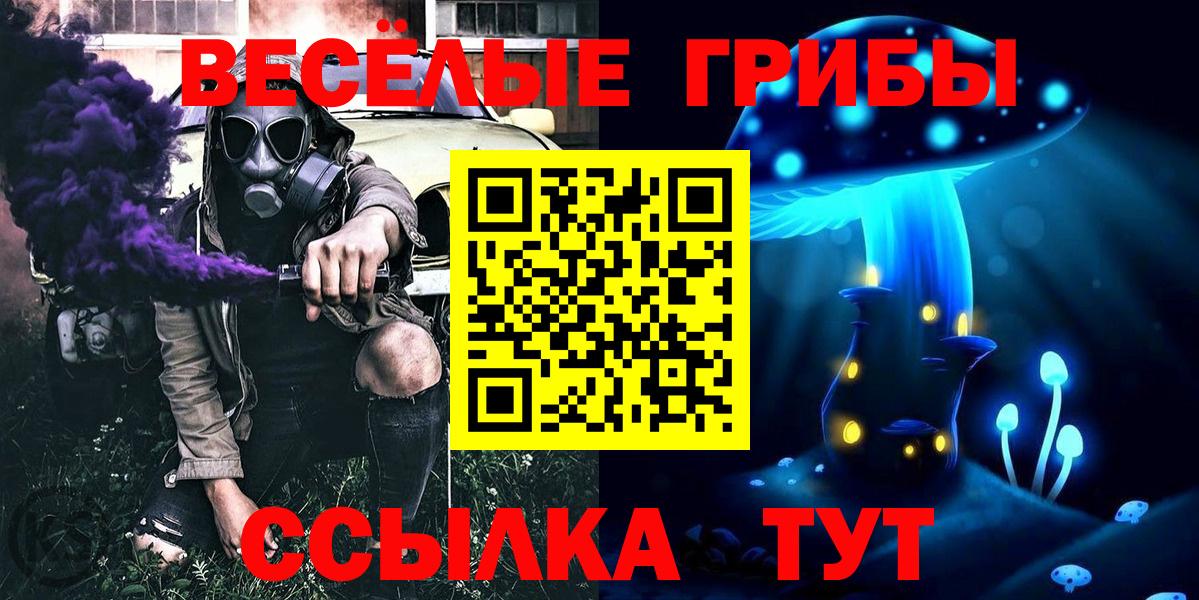 Галлюциногенные грибы Psilocybe Усть-Кут