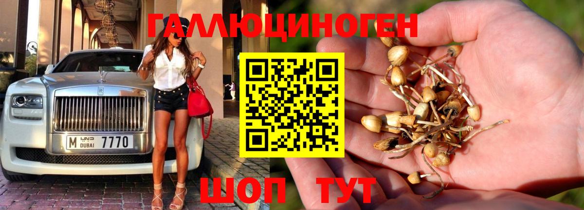 продажа наркотиков  Вход с VPN  Усть-Кут  Псилоцибиновые грибы GOLDEN TEACHER 